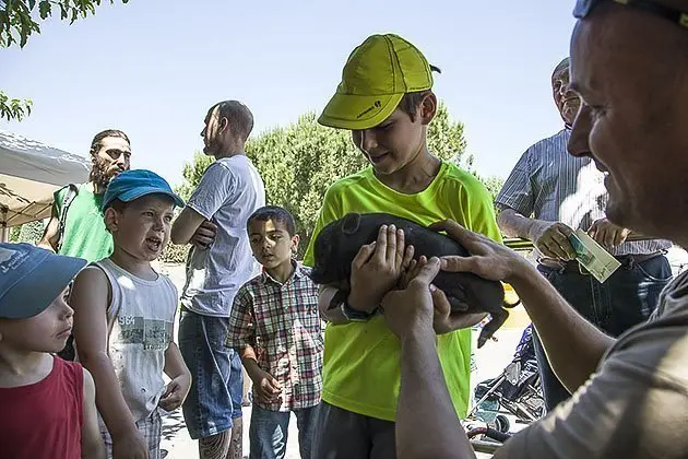 Els petits sorpresos amb els animals de la Festa del Medi Ambient.