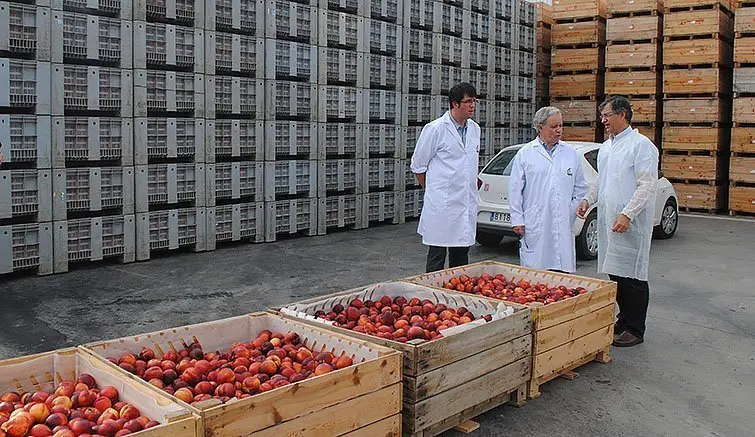 Joan Girona visita la planta de Nufri a Mollerussa.