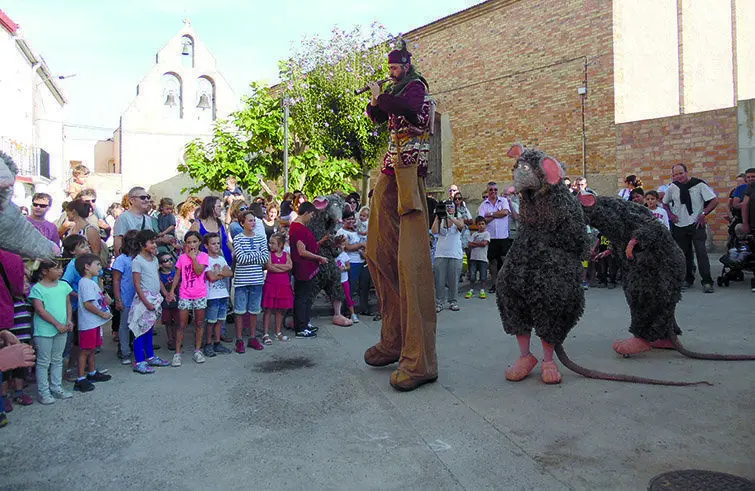 Rats Campi Qui Pugui a Cua d'Estiu