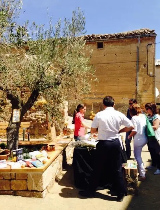 Foto present. Oleoturisme Garrigues a la Granadella 2