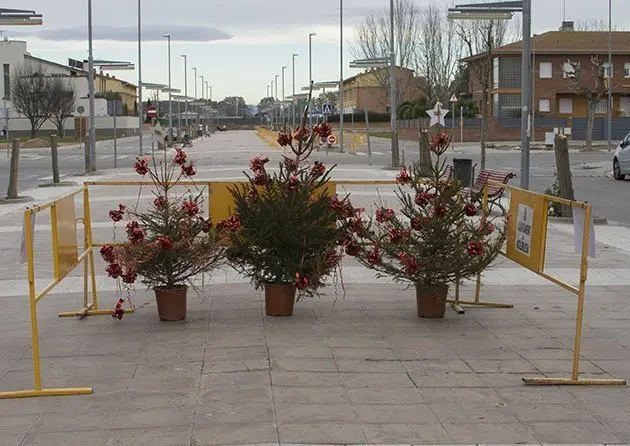 Recollida arbres de Nadal Interior