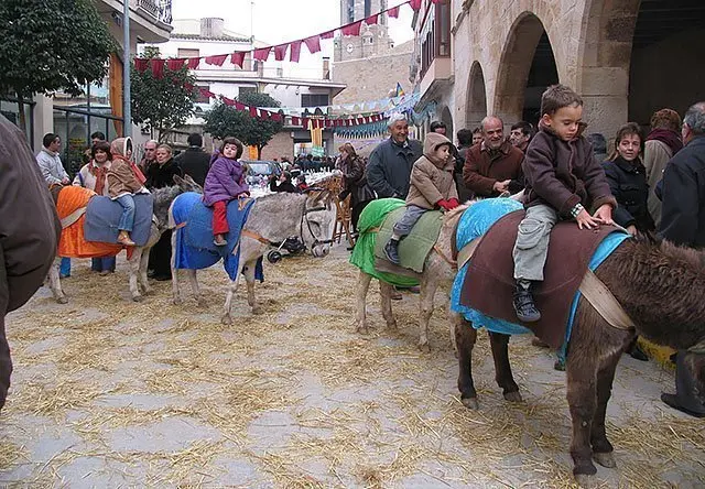 Els més petits gaudeixen des animals en la Festa dels Tres Tombs de Linyola