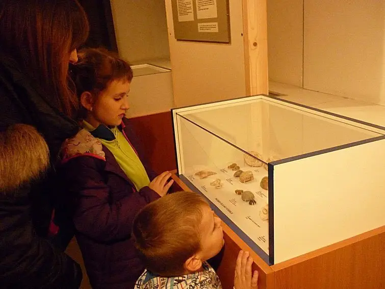 Inauguració exposició 'Empremtes del passat' interior