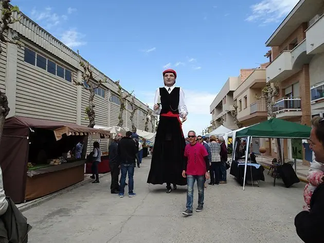 Firacamp 3a Festa de la Floració2016 (23)