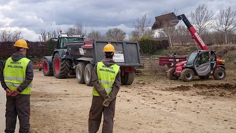 Activitats d'obra pública en l'INS Mollerussa