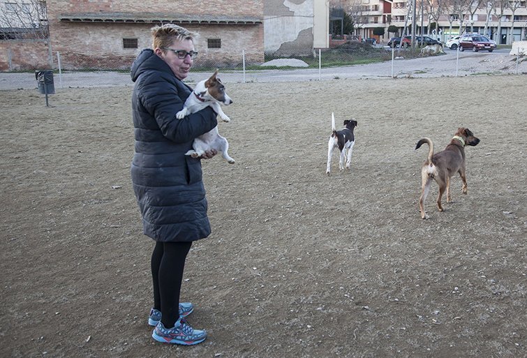Usuaris i gossos en el Parc caní de Mollerussa