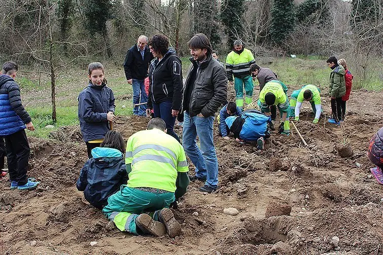 Balaguer Plantada d'arbre 2017 inteiror