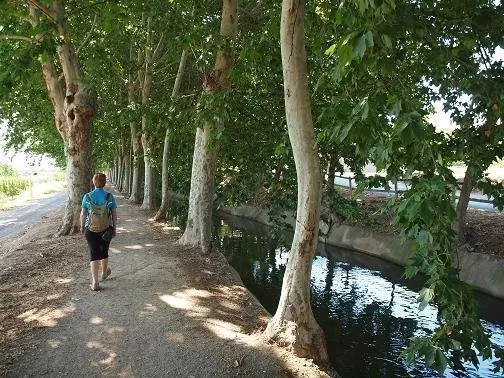 La banqueta del canal en el terme de Juneda