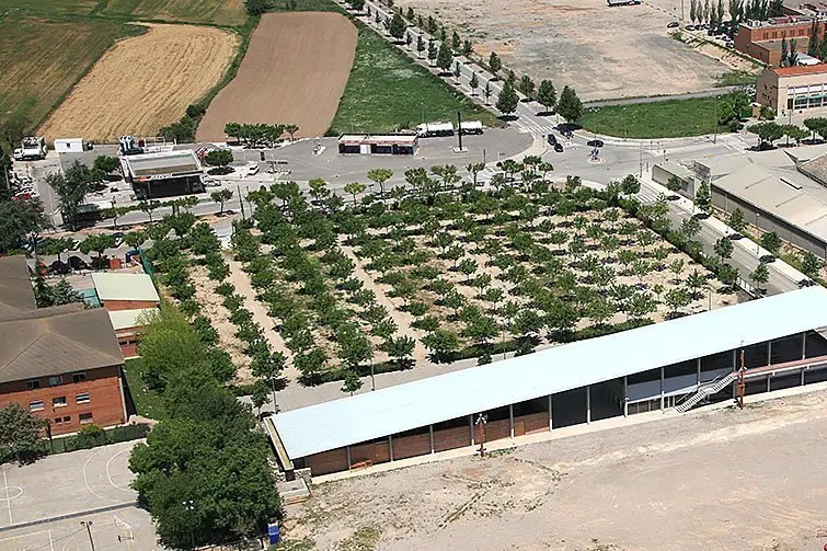 L'Ajuntament de Tàrrega proposa de celebrar per primera vegada el dia de la Mona inteior