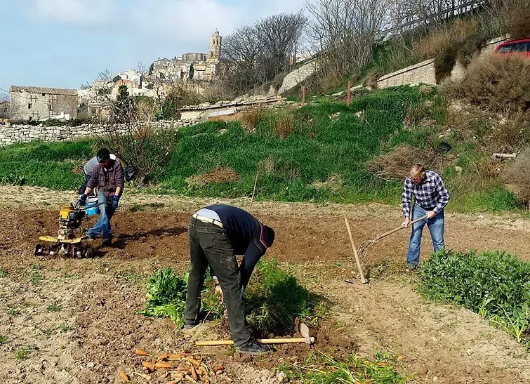 Usuaris treballant en els  Horts Socials i Inclusius de Cervera