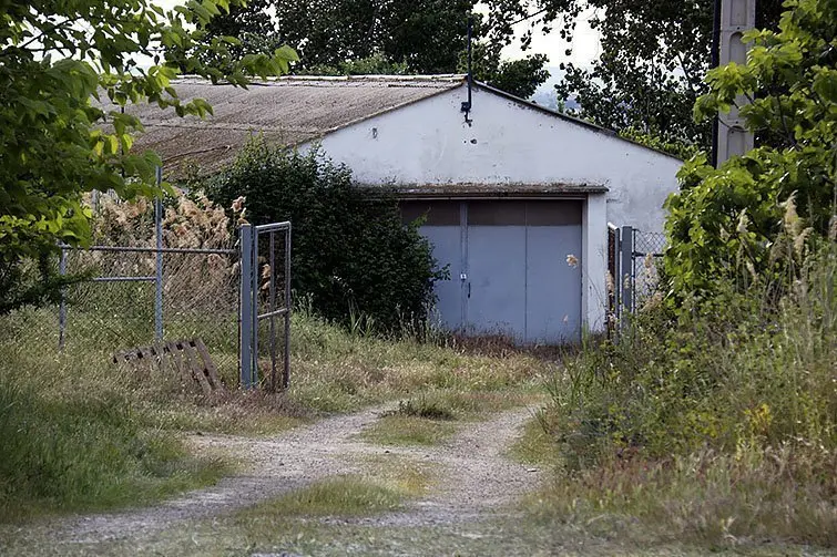 La granja de pollastres abandonada de Puiggròs on s&#39;han trobat les 5.000 plantes