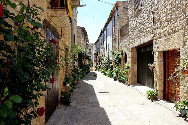 Imatge dels carrers guarnits de Vinaixa 1