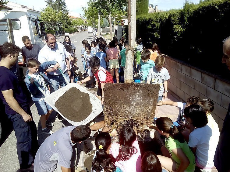 Els escolars planten arbres en el carrer  Clos d'Agramunt Interior