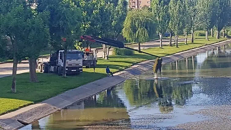 Treballs de neteja del tran urbà del riu Segre a Balaguer