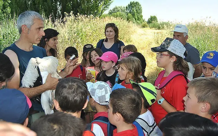 Anellament de polls de cigonya a l'estany amb l'escola Mª de Déu de l'Horta d'Ivars 2 inteior