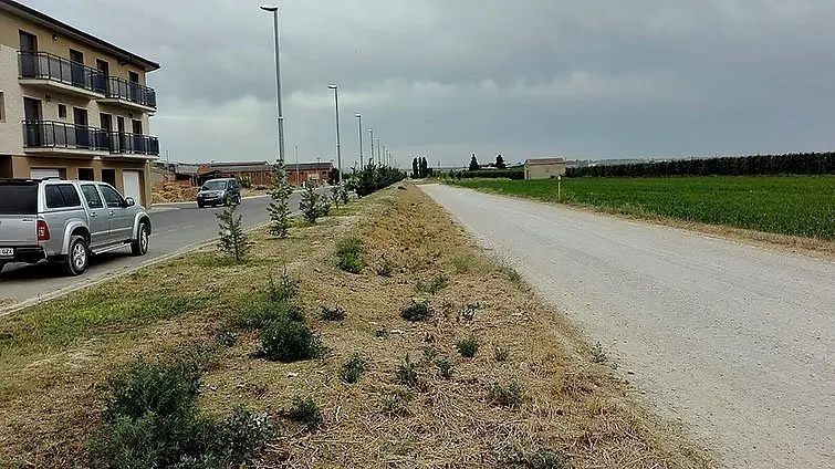 Imatge del camí i els habitatges del Palau d'Anglesola