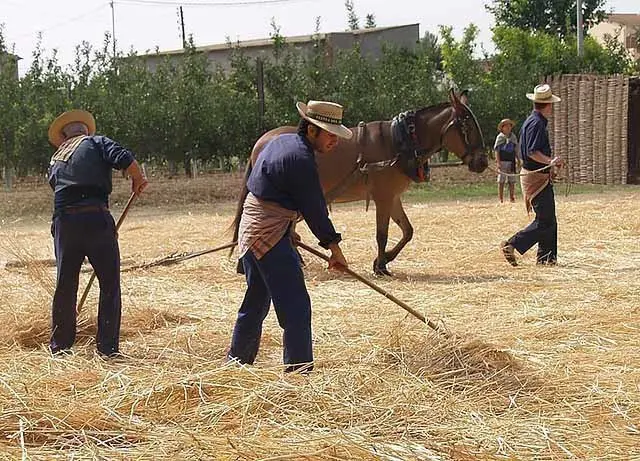 La Fuliola prepara la nova edició de la Festa del Batre