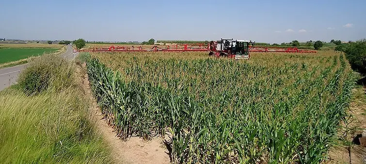 Una màquina aplicant tractaments fitosanitaris per combatre la plaga de l'aranya