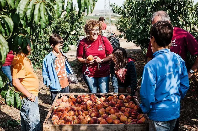 Clou la campanya de promoció turística “Aitona en Fruita” 2017 inteiror