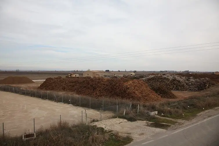 Terreny on es projectava la construcció de la planta de biomassa interior