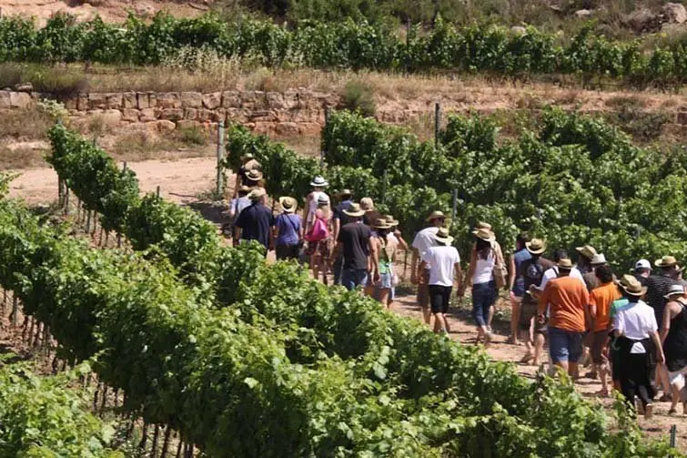 Enoturisme en les finques del celler Clos Pons