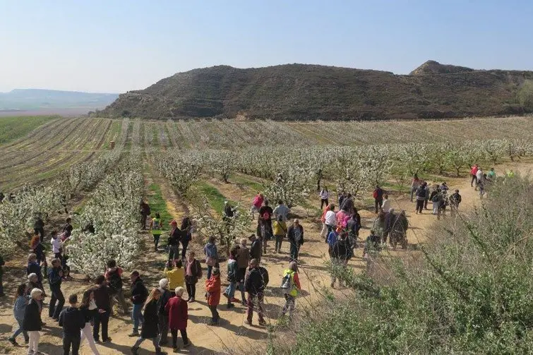 Participants en edicions anteriors en la ruta Alcarràs Florit 