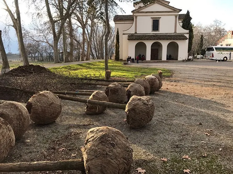 L'hermita del Remei i els arbres que es planten en la finca del castell