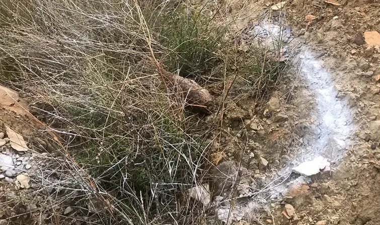 Imatge de l'artefacte localitzat en les obres a  La Granja d'Escarp Interior