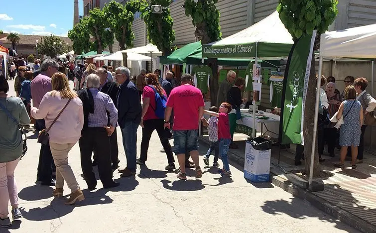 FiraCamp la Festa de la Floració de Miralcamp edició del 2017 Interior