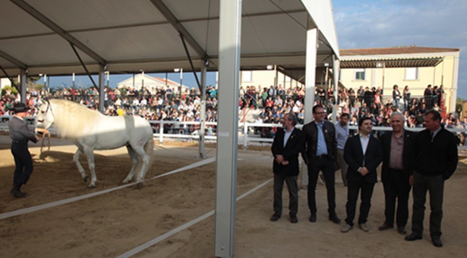 Inauguració EquiMollerussa a l'INS Mollerussa primera Fira del Cavall 1
