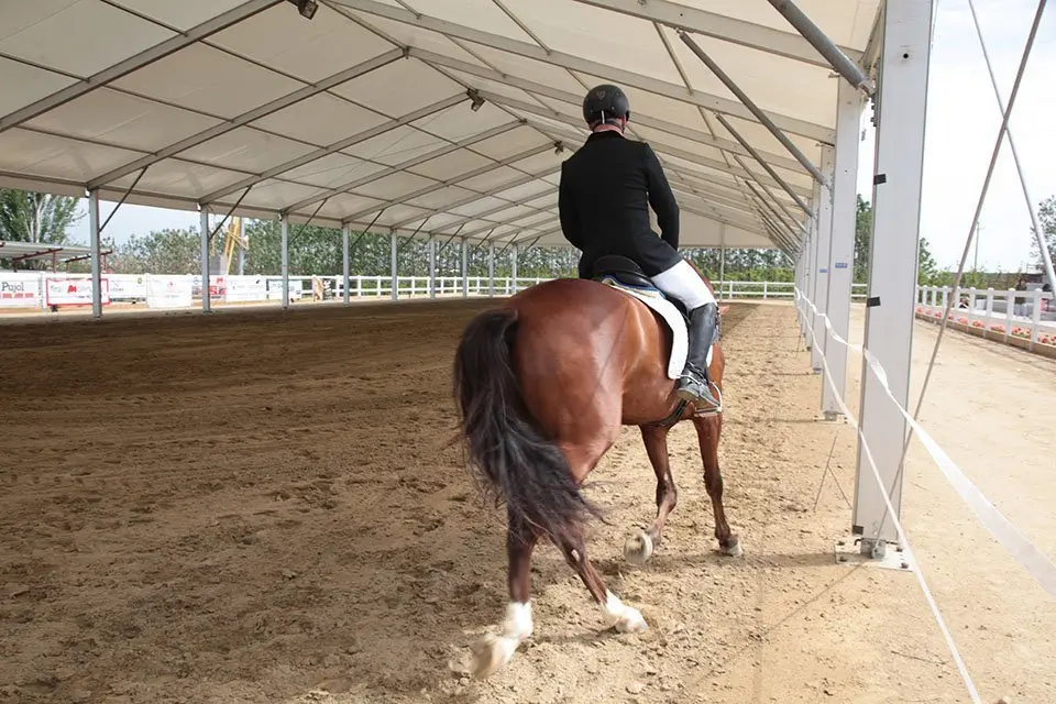 Primera edició del certamen EquiMollerussa a l'INS Mollerussa (15)