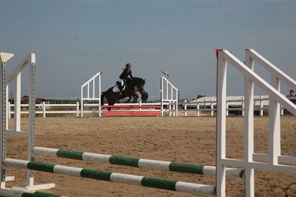 Primera edició del certamen EquiMollerussa a l'INS Mollerussa (19)