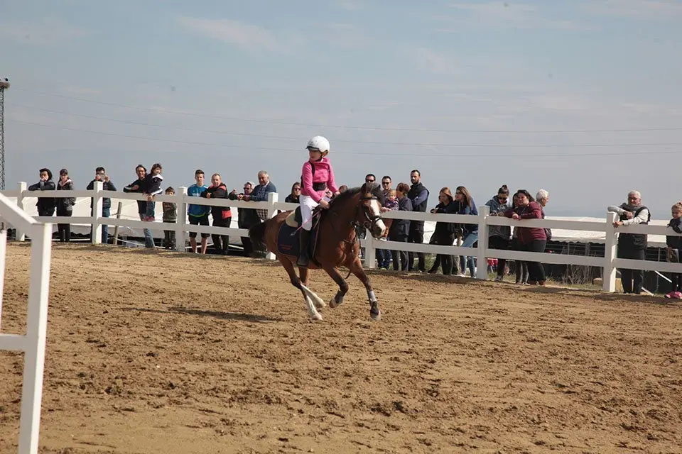 Primera edició del certamen EquiMollerussa a l'INS Mollerussa (21)