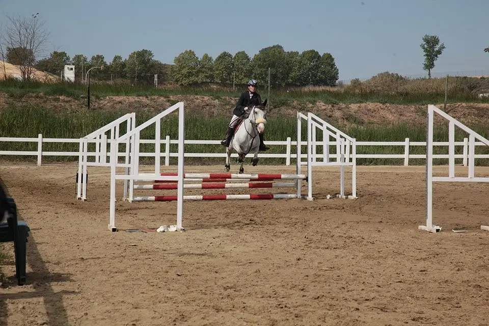 Primera edició del certamen EquiMollerussa a l'INS Mollerussa (22)