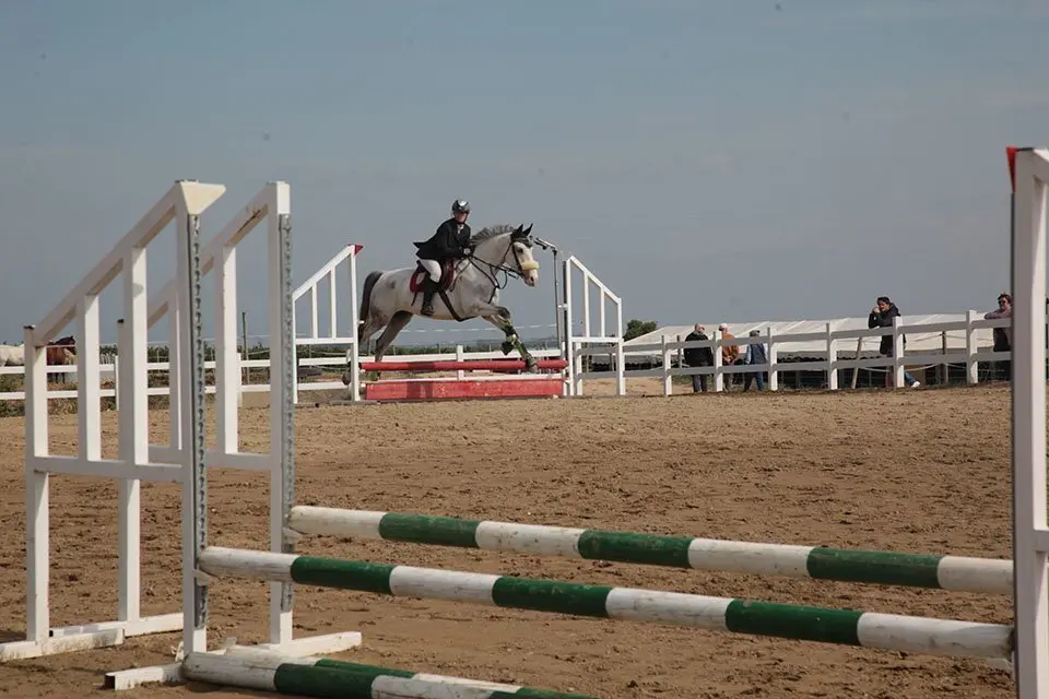 Primera edició del certamen EquiMollerussa a l'INS Mollerussa (24)