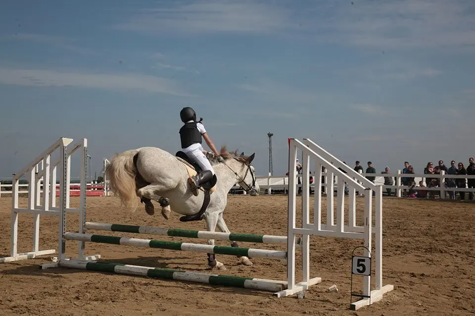 Primera edició del certamen EquiMollerussa a l'INS Mollerussa (25)