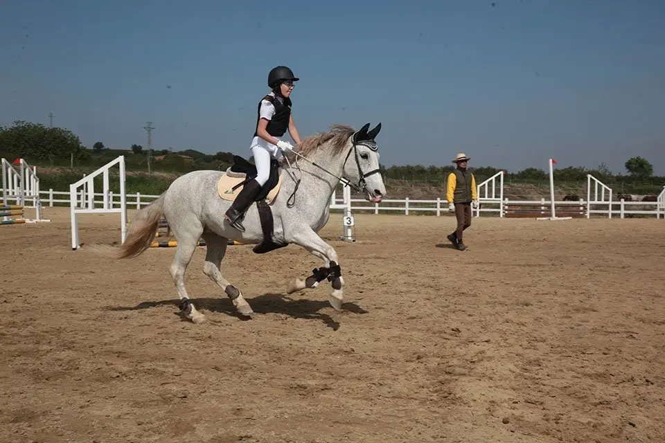 Primera edició del certamen EquiMollerussa a l'INS Mollerussa (26)