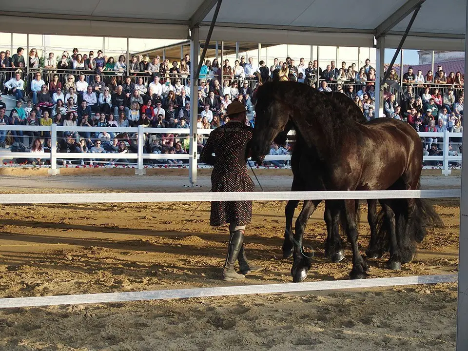 Primera edició del certamen EquiMollerussa a l'INS Mollerussa (30)