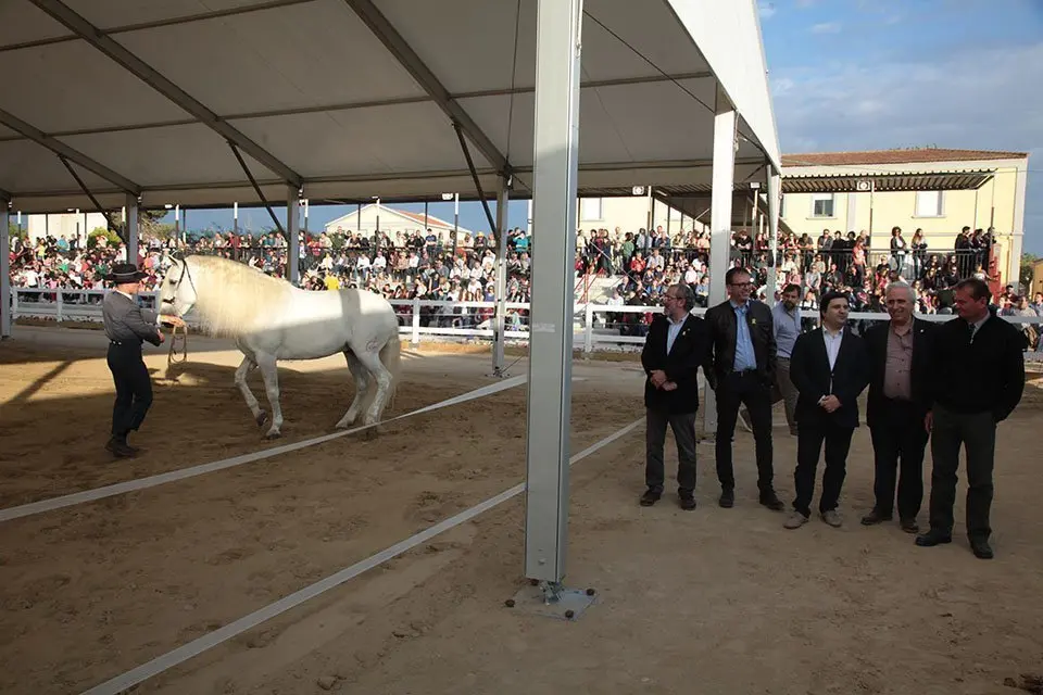 Primera edició del certamen EquiMollerussa a l'INS Mollerussa (33)