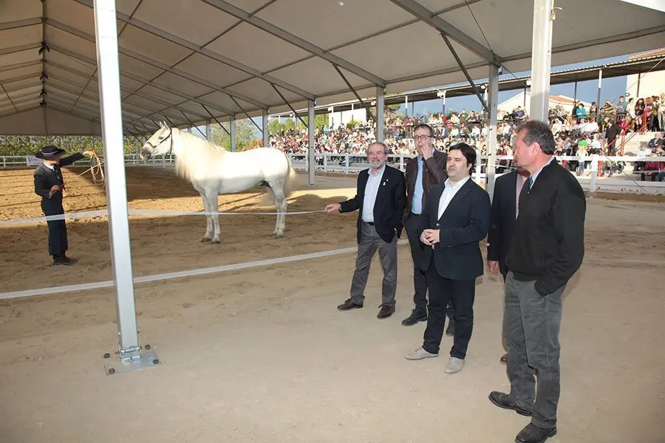 Primera edició del certamen EquiMollerussa a l'INS Mollerussa (34)