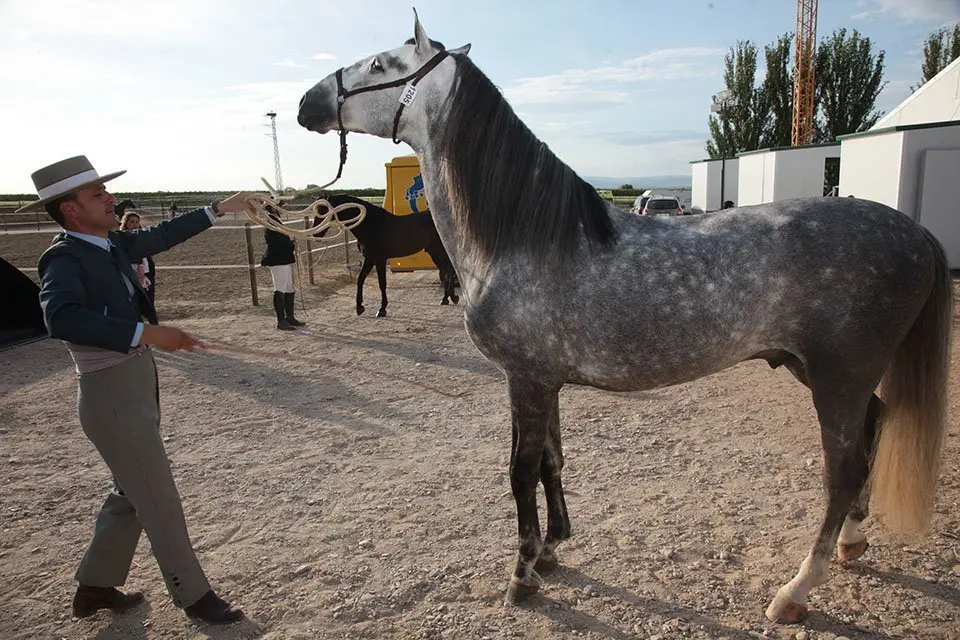 Primera edició del certamen EquiMollerussa a l'INS Mollerussa (39)