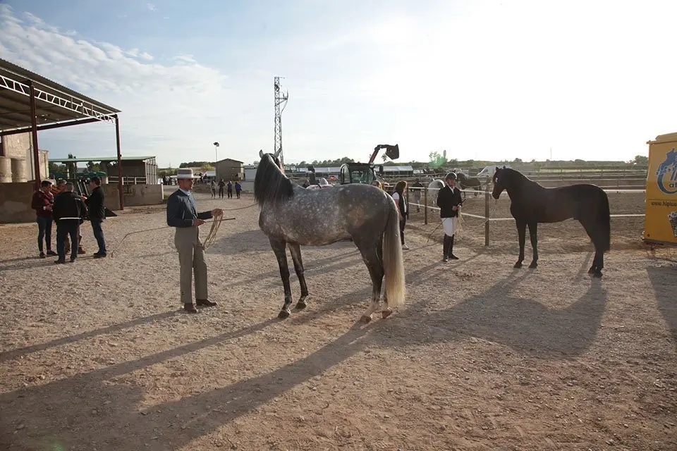 Primera edició del certamen EquiMollerussa a l'INS Mollerussa (40)