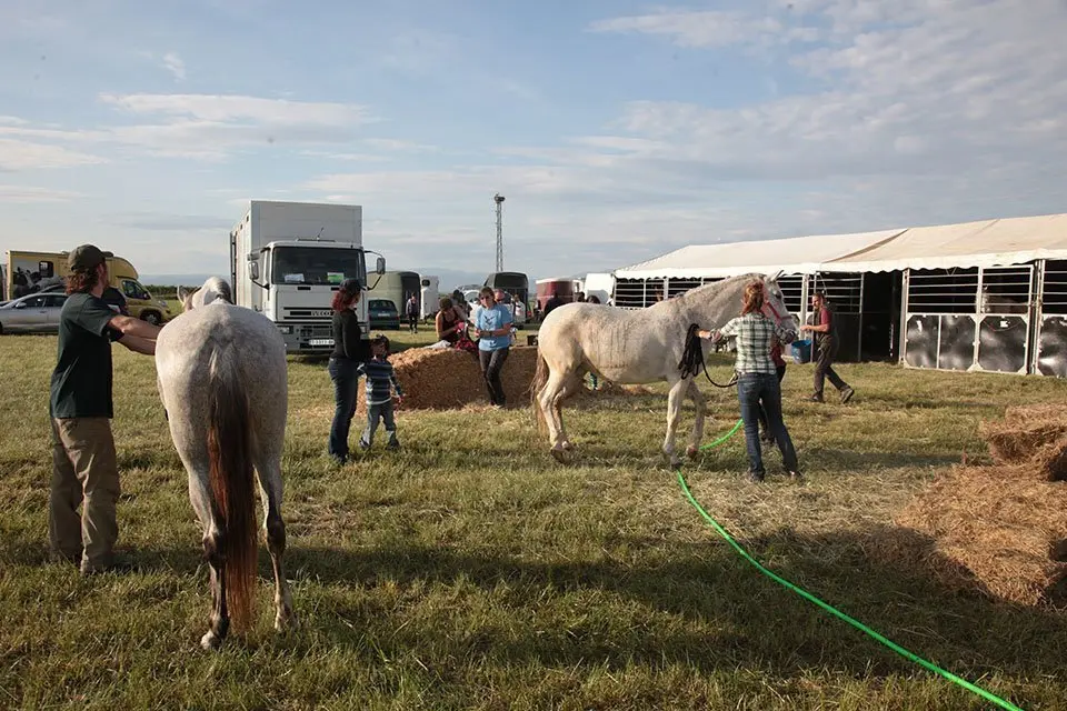 Primera edició del certamen EquiMollerussa a l'INS Mollerussa (41)