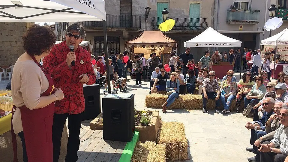 Activitats en la Fira de la Camamilla de Linyola (4)