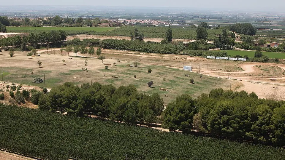 Parc de La Serra espai entre els termes de Mollerussa, Torregrossa, Miralcamp, i Sidamon @Territoriscat