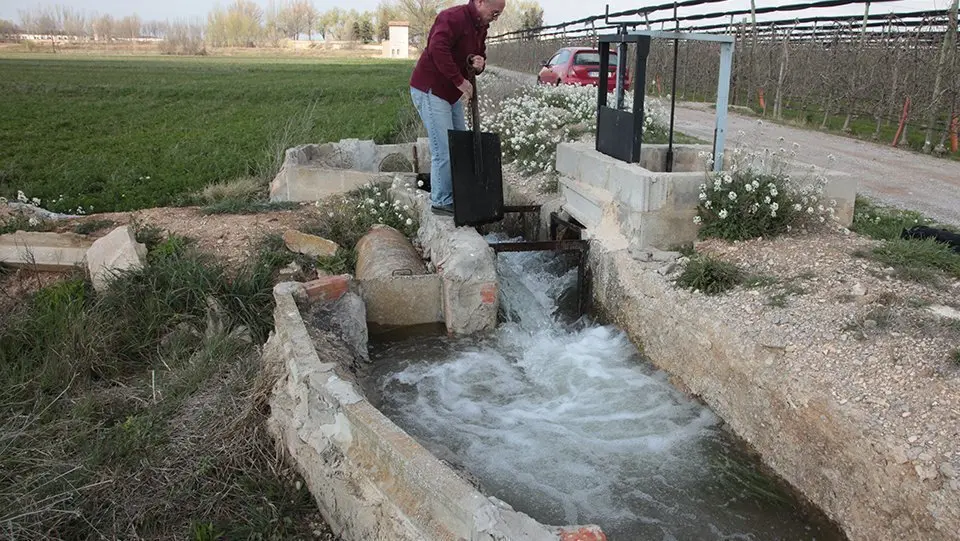 Campanya de reg Canal d'Urgell (8)