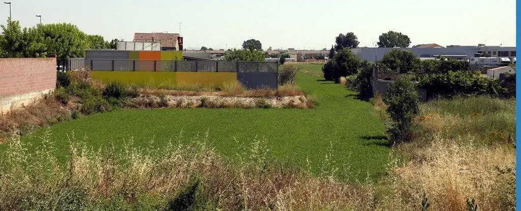 Terrenys en els que es preveu construir el nou Institut a Mollerussa