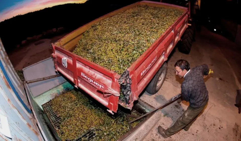 Empresa d'olis de Bellaguarda, a les Garrigues