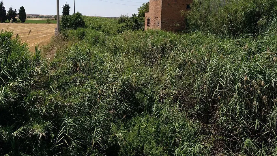 Imatge de l'aspecte actual del riu Ondara vora el pont de l'avinguda de l'Onze de Setembre