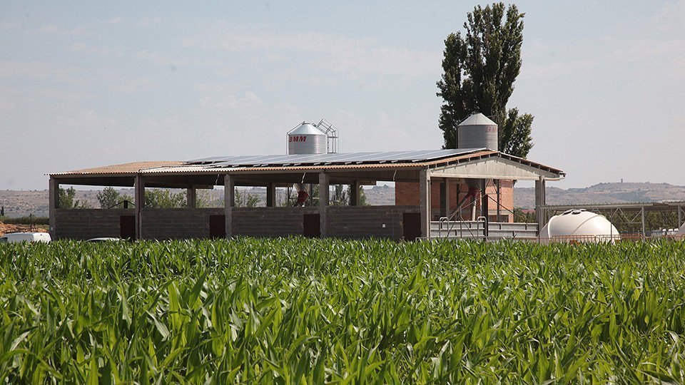 Imatge d'una granja amb les plaques solars que alimenta el reg del panís @territoriscat